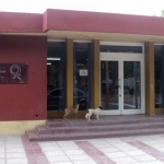 0014087310