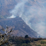 Sigue sin control el incendio forestal en Neuquén 2 52dd42f3a446a