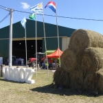 CosechaArroz2016 4