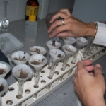 Suelos1