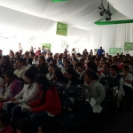 GOYA DENGUE 4