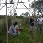 PANaranjito1