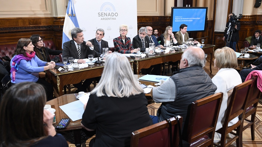 Foto Prensa Senado