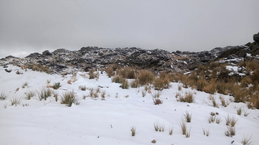 El cerro Champaqu se encuentra en Pampa de Achala y tiene una altura de 2790 metros en la cumbre Foto archivo