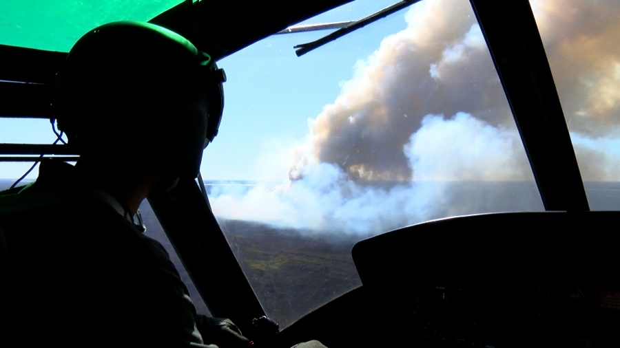 Ms de 100 brigadistas con apoyo de aviones y helicpteros continuaban combatiendo los incendios forestales