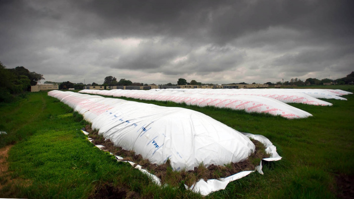 Los productores podran llegar a casi la totalidad de los 10 millones de toneladas que se estima que an conservan en los silos Foto Carlos Brigo