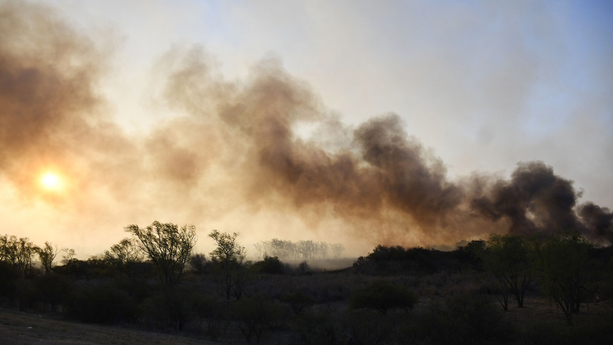 En Entre Ros existe un alto ndice de peligrosidad de incendios Forestales Foto Archivo