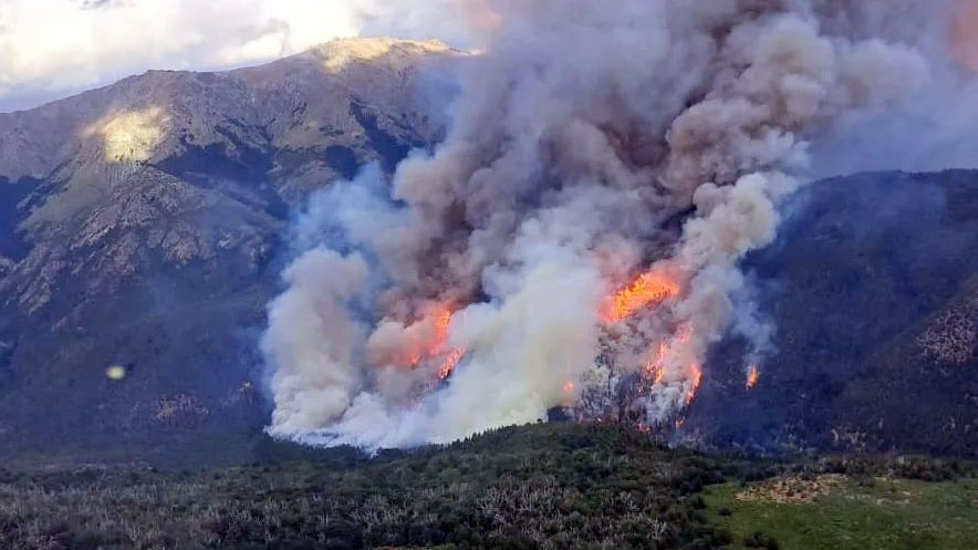 Hasta el momento el fuego quem unas mil hectreas de bosque y matorral nativo Foto Facebook SPLIF Ro Negro