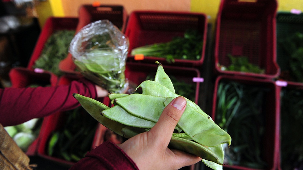 Buscan crear un rgimen de promocin a la produccin y elaboracin de productos orgnicos Foto
