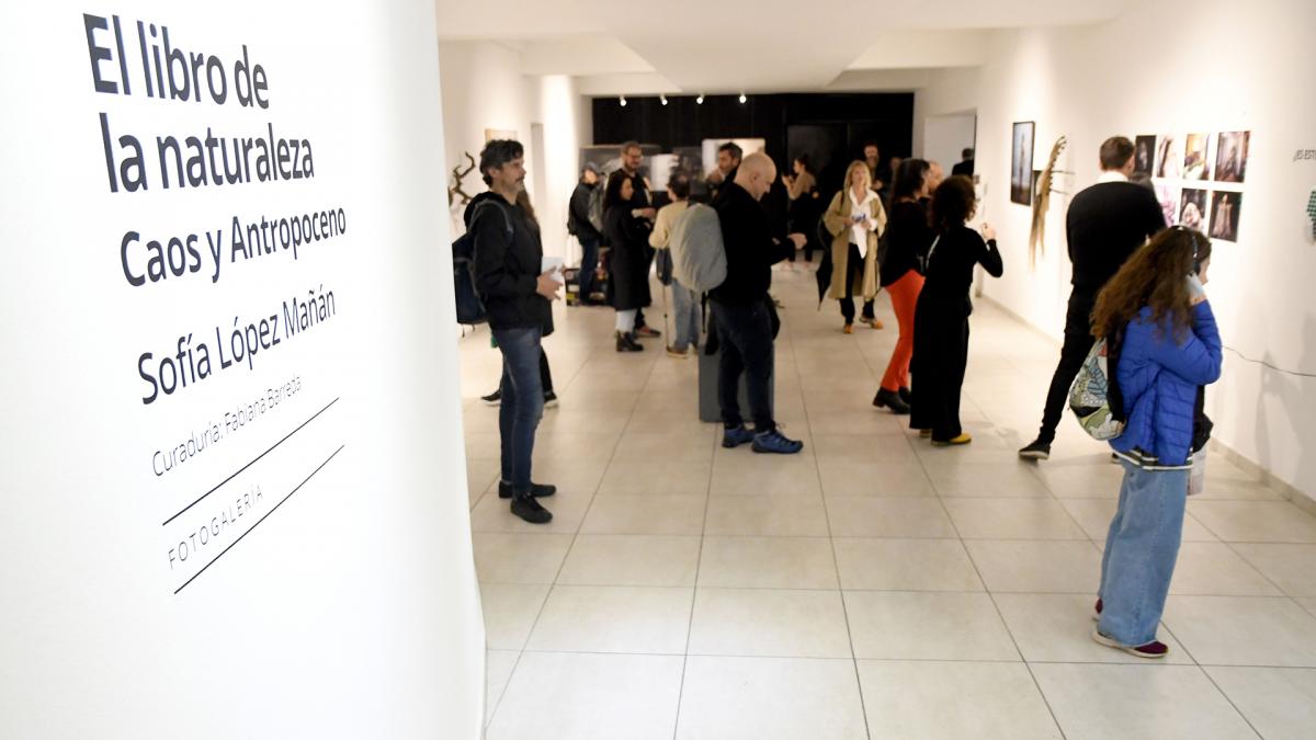 El Libro de la Naturaleza puede visitarse en la Fotogalera del Centro Cultural Ricardo RojasFoto Raul Ferrari