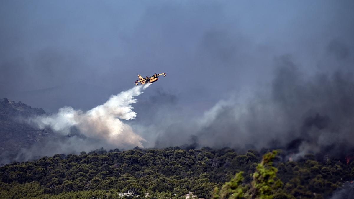 Foto AFP