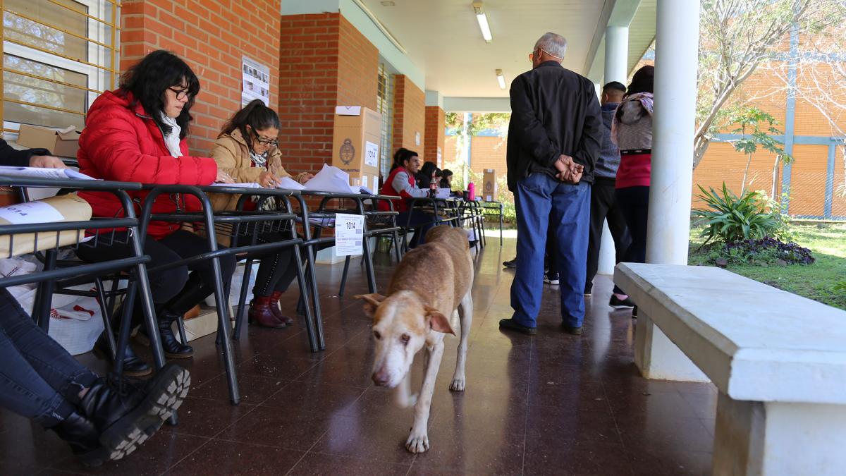 Los votantes bonaerenses podrn retirar el DNI en trmite en las 500 delegaciones que estarn abiertas Foto Natalia Guerrero