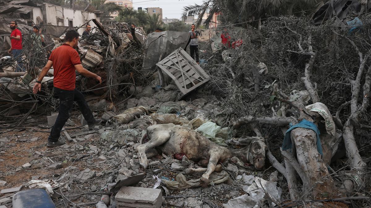 Los incesantes bombardeos sobre la Franja de Gaza lanzados por Israel como represalia a la incursin sobre su terreno dejaron ms de 6500 muertos Foto archivo AFP