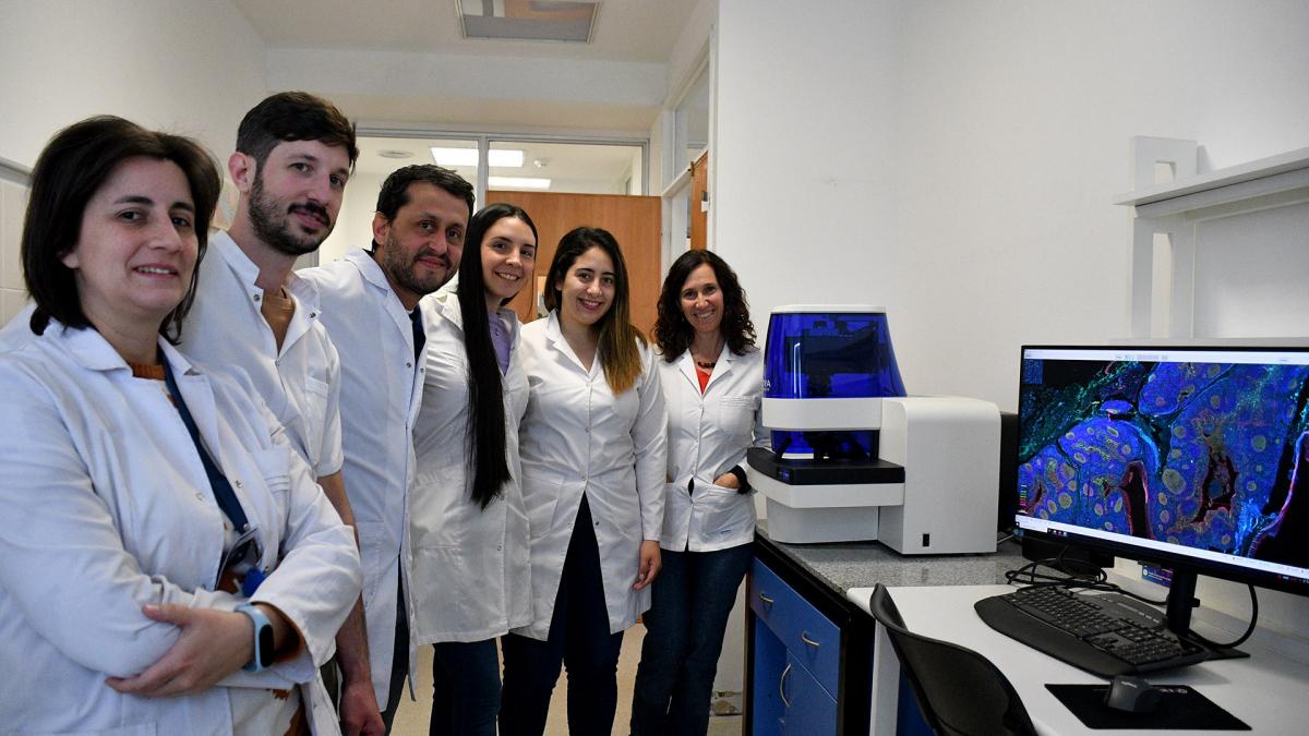 En septiembre el proyecto fue el ganador del Premio MerckMinCyTConicet de innovacin en Ciencias de la Salud edicin 2023 Foto Laura Lescano