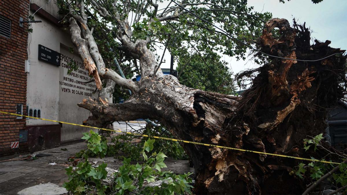 Gobierno porteo decidi lanzar un subsidio para los damnificados por el temporal Foto Florencia Downes