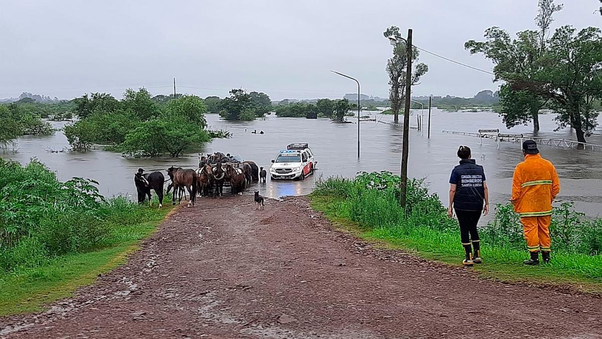 Foto Gentileza Municipalidad 