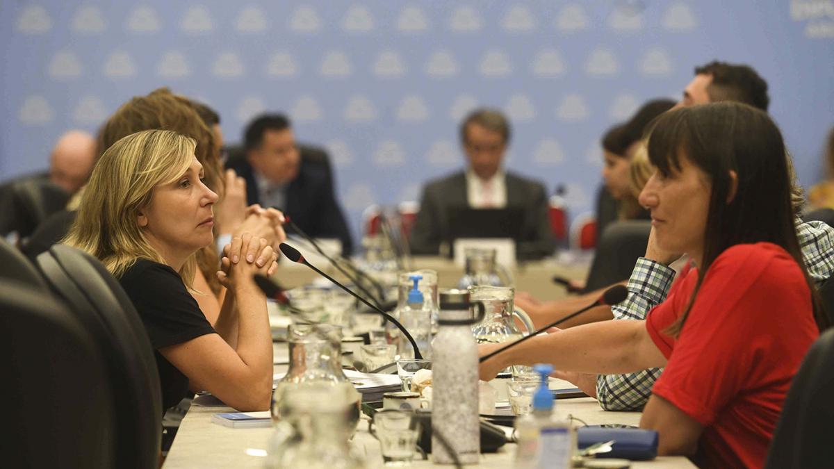 El plenario de comisiones que est analizando la iniciativa del Ejecutivo Foto Alejandro Santa Cruz 