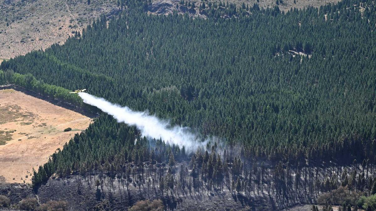 El polgono de la superficie total del incendio se estim en 7841 hectreas Foto Maxi Jonas 