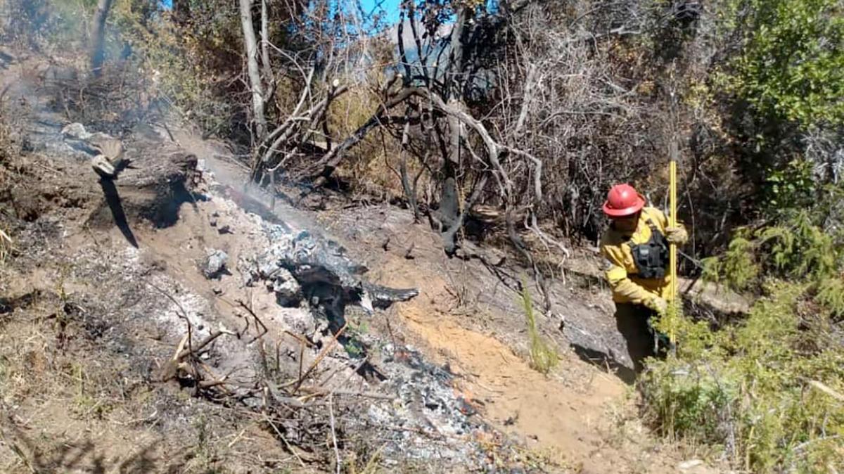 Foto prensa