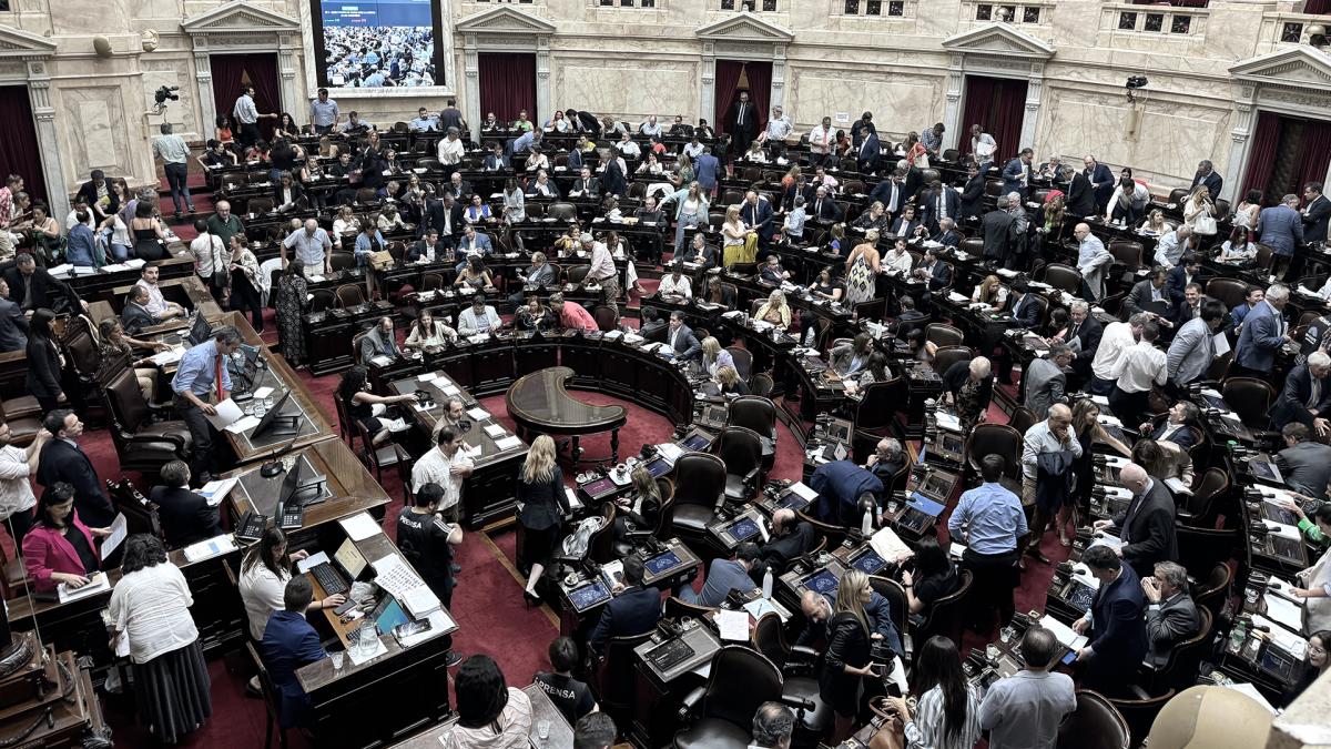 Sesin en el Congreso de la Nacin Foto Enrique Garcia Medina 