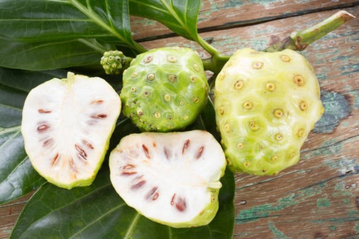 Noni, fruta exótica.