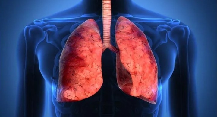 Cómo limpiar los pulmones y vías respiratorias de manera natural.