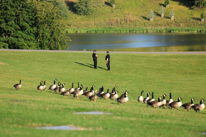 Uno de los lagos del palacio se usó para probar un vehículo anfibio luego usado en Normandía. Foto: EFE