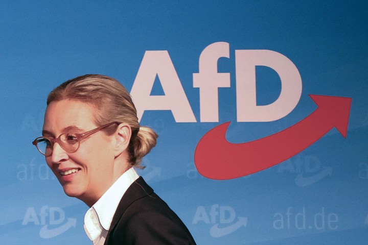 La vicepresidenta del partido de ultraderecha Alternativa para Alemania (AfD), Alice Weidel. Foto: EFE