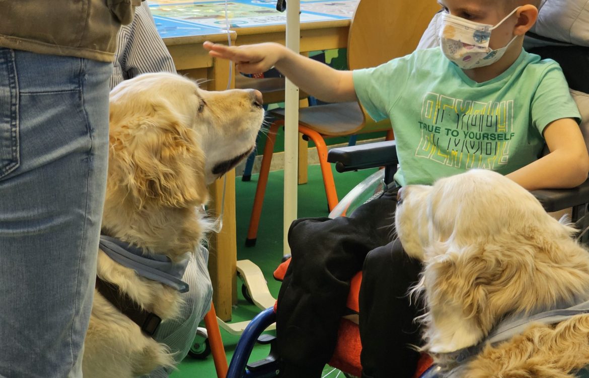 Intervención asistida con perros a niños con tumores cerebrales, el valor de las mascotas