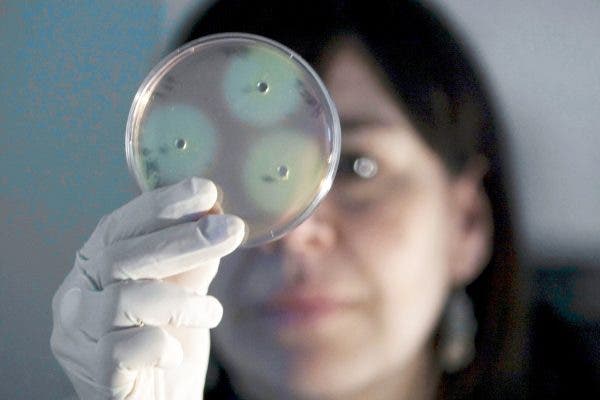 bacterias