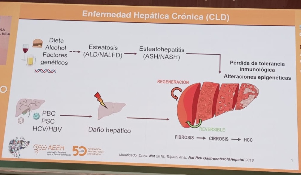 Hepatólogos