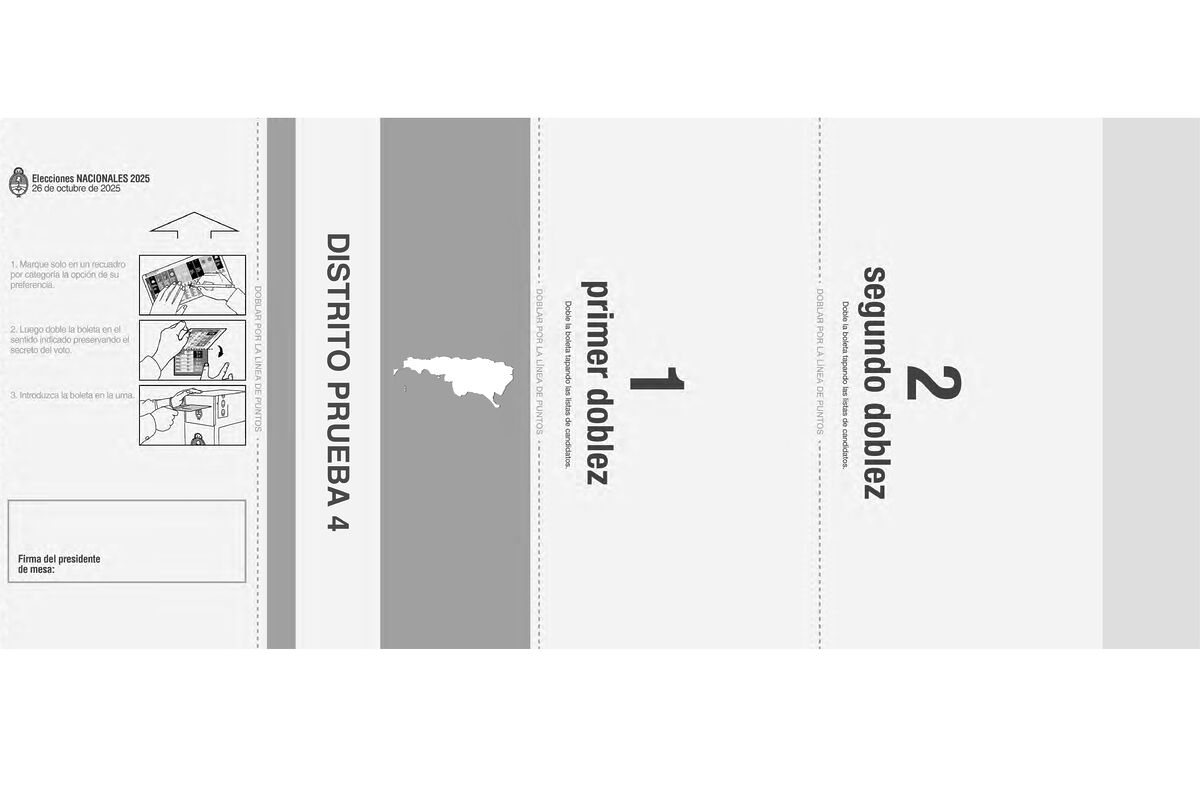 La Cámara Electoral aprobó los modelos de Boleta Única de Papel para las elecciones legislativas