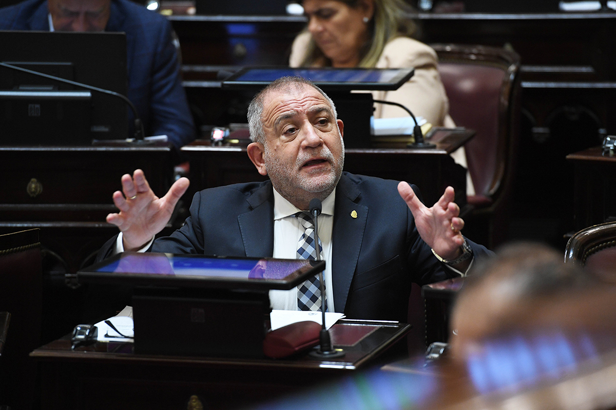 Derrota para el gobierno y el macrismo: el Senado rechazó el proyecto de Ficha Limpia