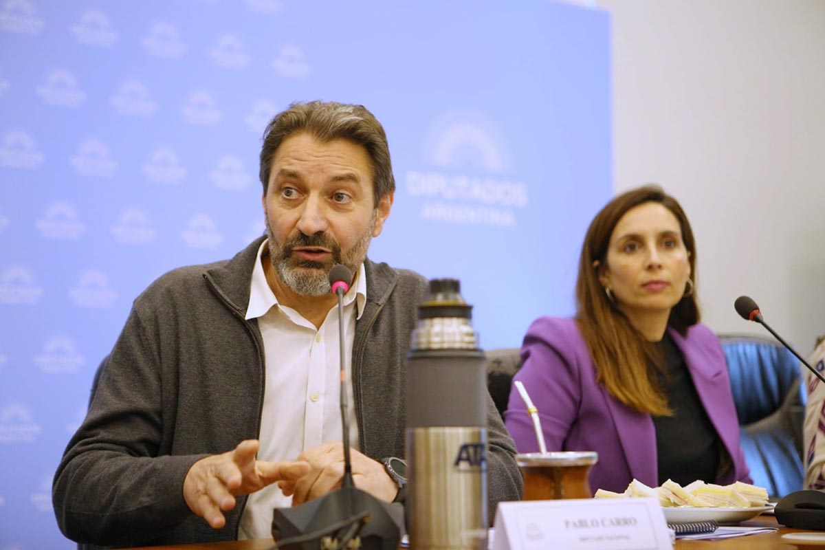 En el Congreso, piden frenar el avance autoritario de Milei contra la prensa