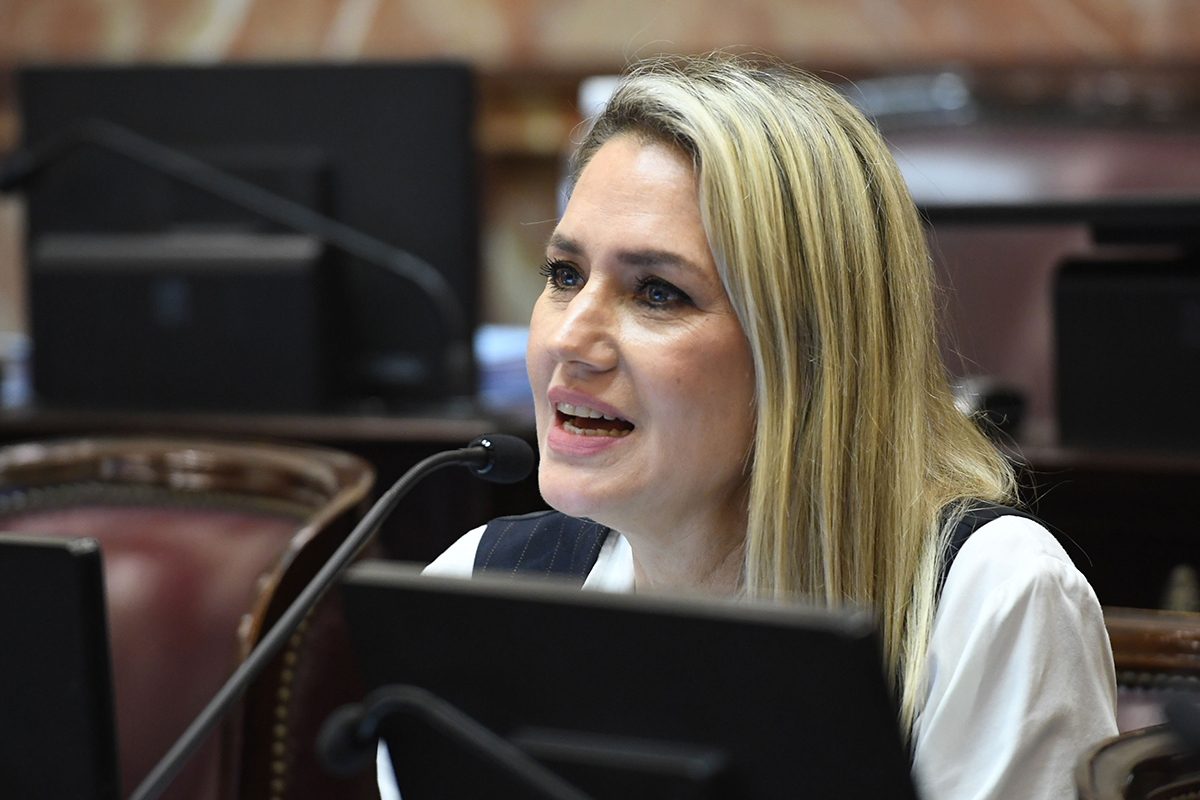 Derrota para el gobierno y el macrismo: el Senado rechazó el proyecto de Ficha Limpia