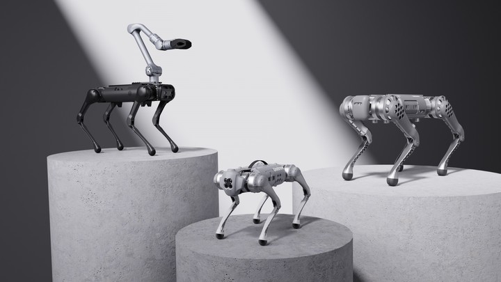 Los perros robot de Big Dipper.