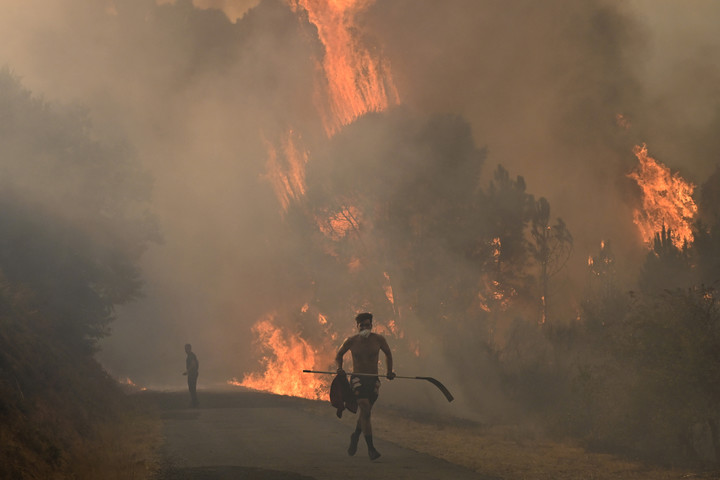 Las llamas consumieron decenas de miles de hectáreas de bosques por la ola de calor en España. Foto: AFP