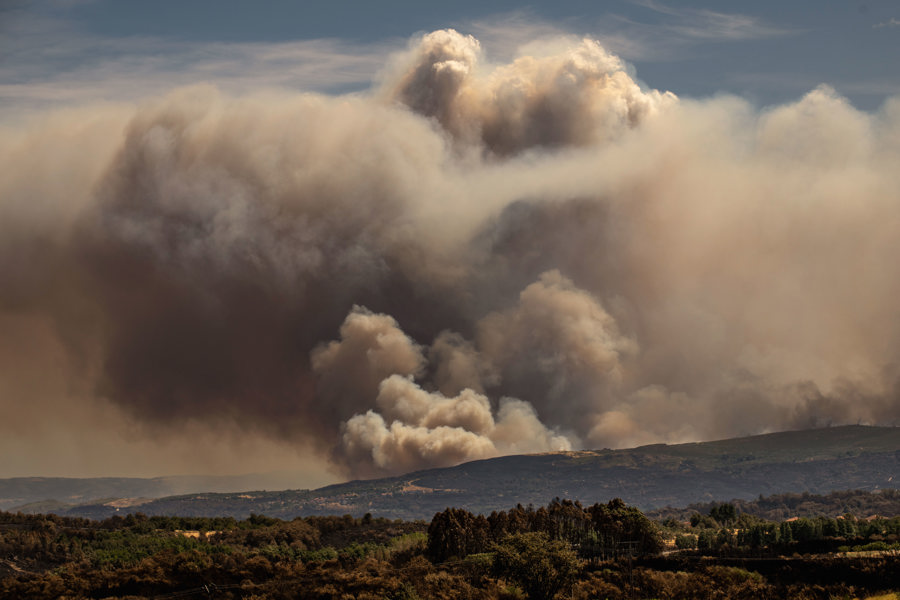 humo salud