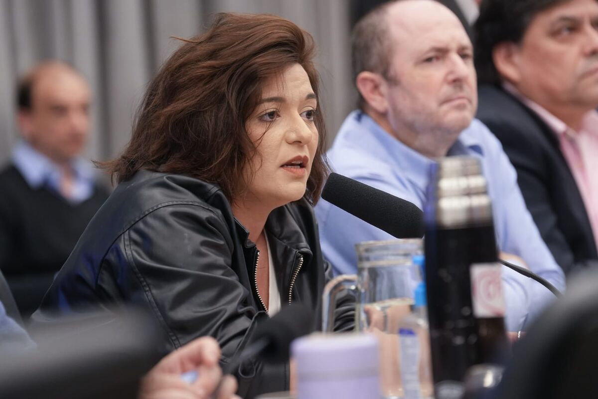 La comisión investigadora del caso $Libra definió sus autoridades y comenzará a funcionar