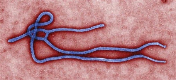 Virus Ébola