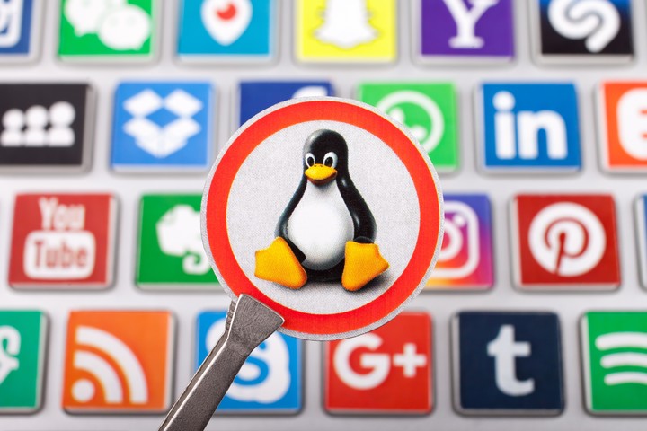 Linux fue creado por Linus Torvalds, quien actualmente todavía mantiene el núcleo del sistema operativo. Foto: Shutterstock