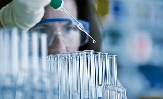 Hay una bacteria que podría destruir células cancerosas y este estudio la ha identificado