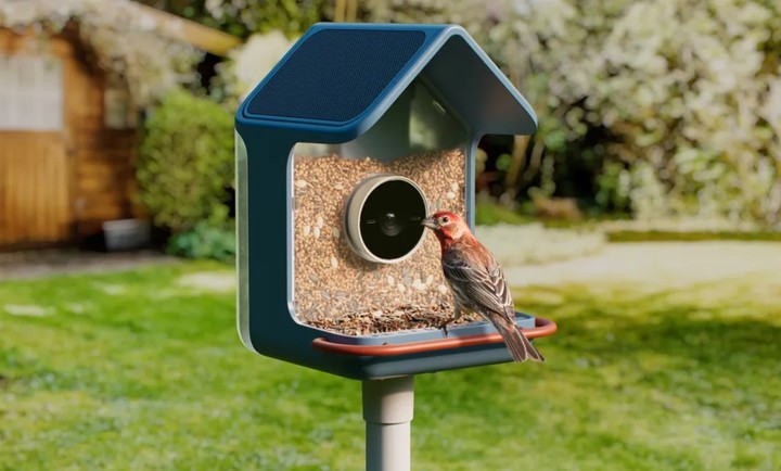 Birdbuddy 2, el comedero para pájaros con IA.
