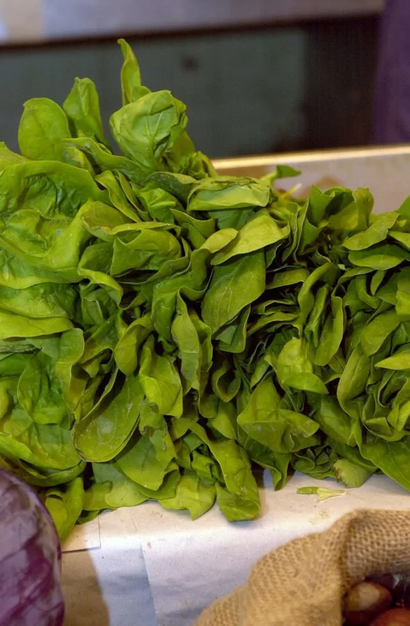 vitaminas tóxicos plásticos