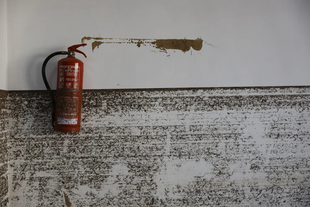 Incendios forestales recomendaciones