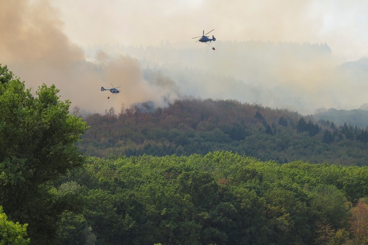 Unas 1.800 personas han sido evacuadas en el oeste de Alemania debido a un incendio forestal de 300 hectáreas. Foto: EFE