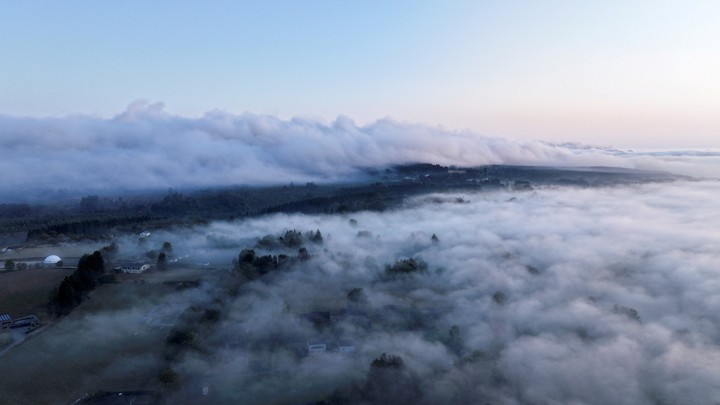Una imagen tomada con un dron muestra la niebla matutina y el humo elevándose durante un incendio forestal en la región de High Fens (Hautes Fagnes), cerca de Waimes, Bélgica. Foto Reuters