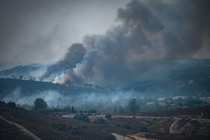 Vista desde la localidad de Aznalcollar (Sevilla), del incendio de Niebla (Huelva), que sigue activo y ha afectado ya a más de 38000 hectáreas. Foto EFE