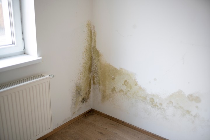 Pared con humedad, un problema de casas, departamentos y PHs. (Foto: Shutterstock)