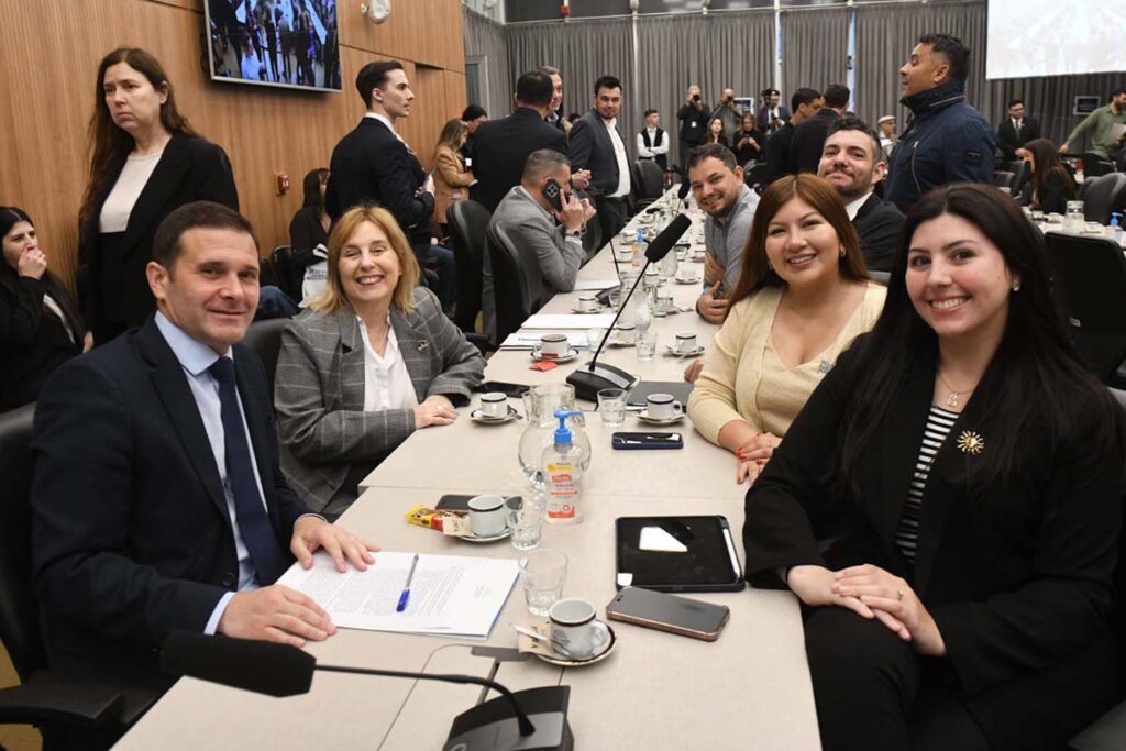 El Gobierno mandó al Congreso a Ibarzabal Murphy para defender el proyecto de Malvinas